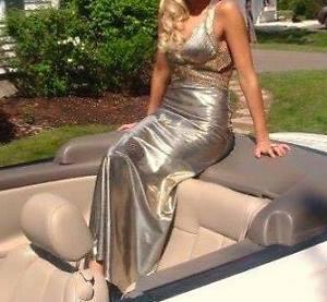 Beautiful Evening Gown/ Prom Dress