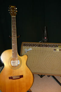 Cort guitar and fender accoustic amp