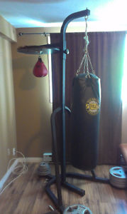 Everlast Boxing bag with Stand