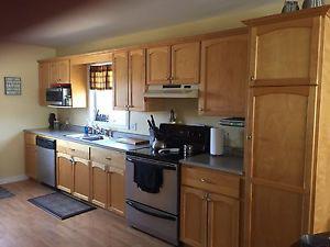 Kitchen cabinets and counter tops