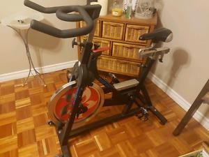 Spin Bike
