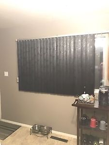 Wanted: Wanted: Vinyl Blind Blanks