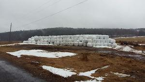 4 x 4 wrapped Haylage, Hay. REDUCED