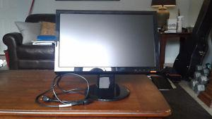Asus computer monitor