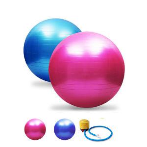 Bally Fitness Ball For Sale