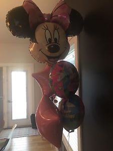 Minnie mouse birthday decorations