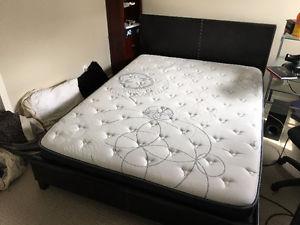 Only 4 months old QUEEN bed AND mattress