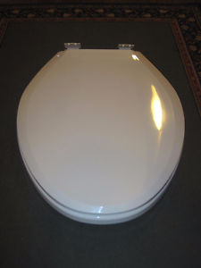 Oval Elongated Toilet Seat