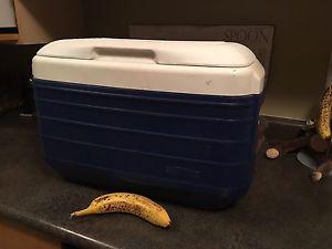 THERMOS brand hard-sided COOLER for sale