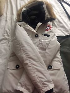 Authentic White Canada Goose