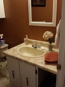 Bathroom vanity, counter, sink and taps
