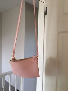 Blush pink purse