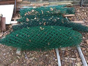 Green coated chain link fence
