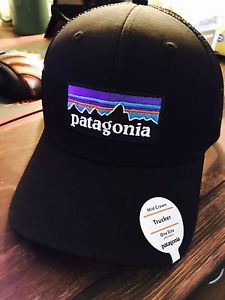 Patagonia SnapBack Hat $40