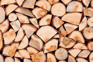 Seasoned Firewood for sale