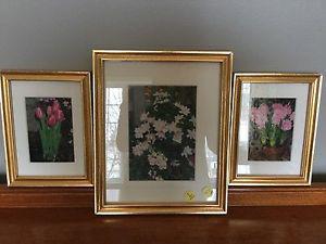 Set of 3 Matted Floral Pictures - Wall Decor