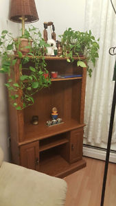 Solid Corner Cabinet - $60 Quick sale