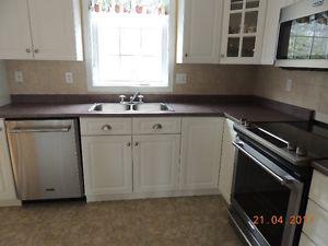 countertop, sink and faucet