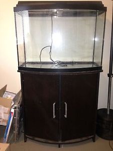 36 gallon bow front aquarium fish tank