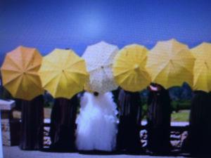 5 umbrellas used at wedding