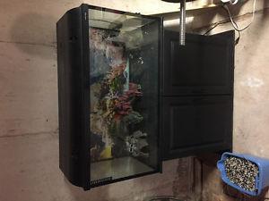 55 gallon fish tank / comes with everything