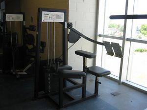 Apex Glute machine Commercial Grade Gym equipment