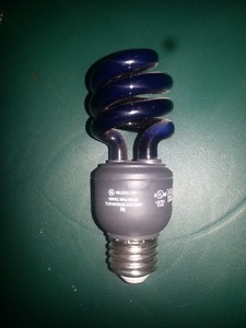 Compact Fluorescent Blacklight bulb