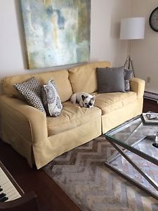 Full size sofa for sale (super cute puppy not included)