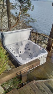 Hot Tub with cover