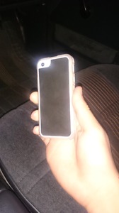 IPhone 5 Goat case