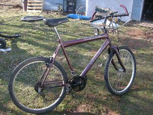 Men Mountain Bike, 18 Speed