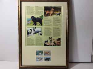Stamp Collection Professionally Framed