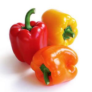 Wanted: Looking for bell pepper starter plants