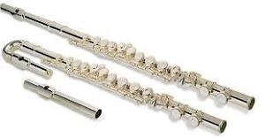 Wanted: WANTED: Flutes for kids!