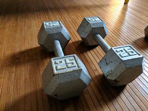 pair of 25 lb hex weights for sale