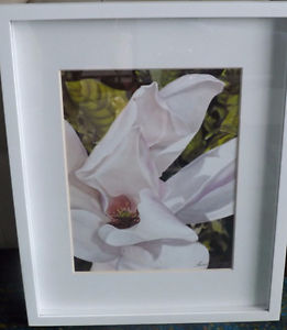 Framed "Heart of Magnolia"