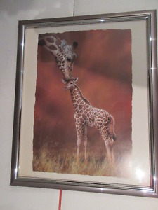 Giraffe Picture w/ Frame