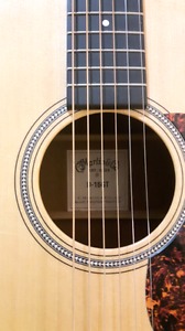  Martin D-16GT with case