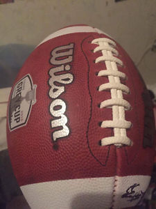 Signed 104 grey cup ball