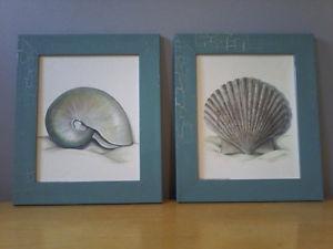 TWO SEASHELL PICTURES
