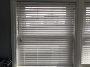 Window Blinds