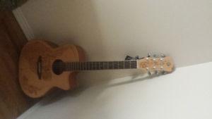 brand new luna acoustic guitar with built in amp and