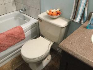 Bone toilet and sink