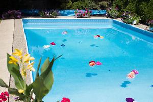 Floating Flowers for Pool