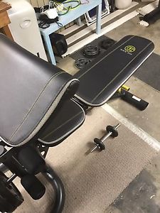 Golds gym bench and squat rack