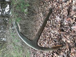 Large, authentic ship anchor for sale!