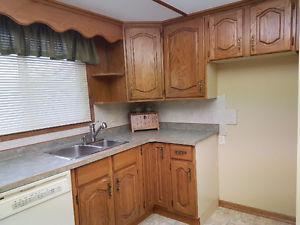 Oak Kitchen Cabinets