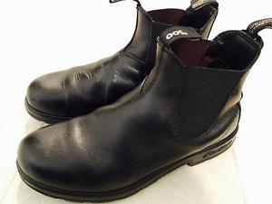 Blundstone Australian Boot (Clean and polished)