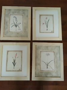 Botanical framed pictures
