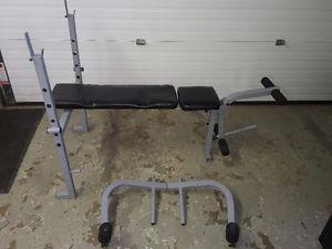 DELUXE BENCH PRESS, DUMBELLS AND WEIGHTS